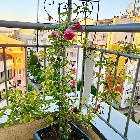 цар самуил Appartement